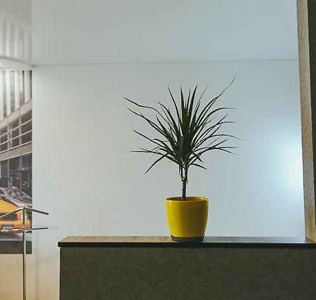 Vip Apartmen Apartment Суми Екстериор снимка